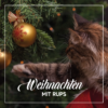 Cover CD Weihnachten mit Rups