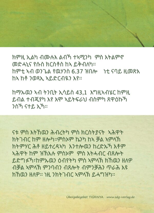 Gebetskarte TIGRINYA – Bild 2